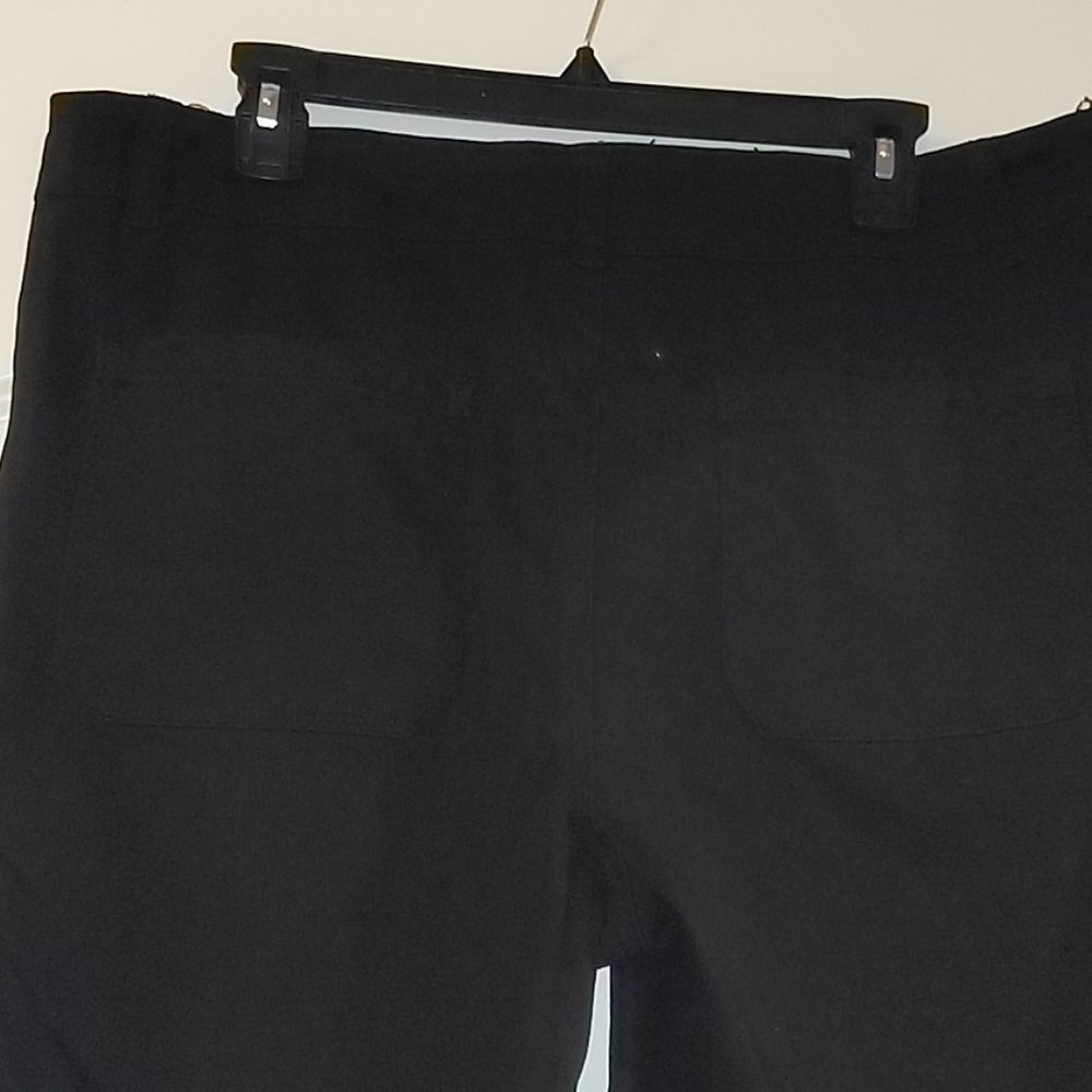 Dictionary Cropped Pants View 3
